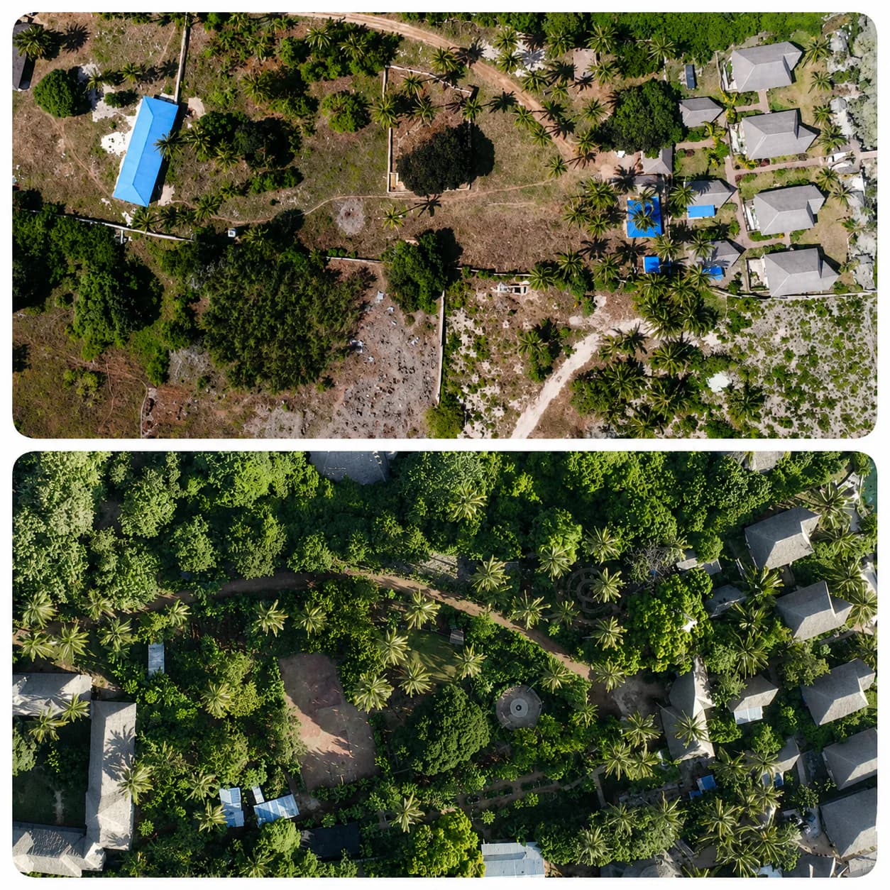 Before and after aerial views of the Assalam site