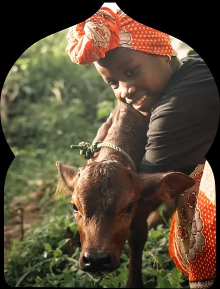 Animal shelters within Assalam's permaculture landscape