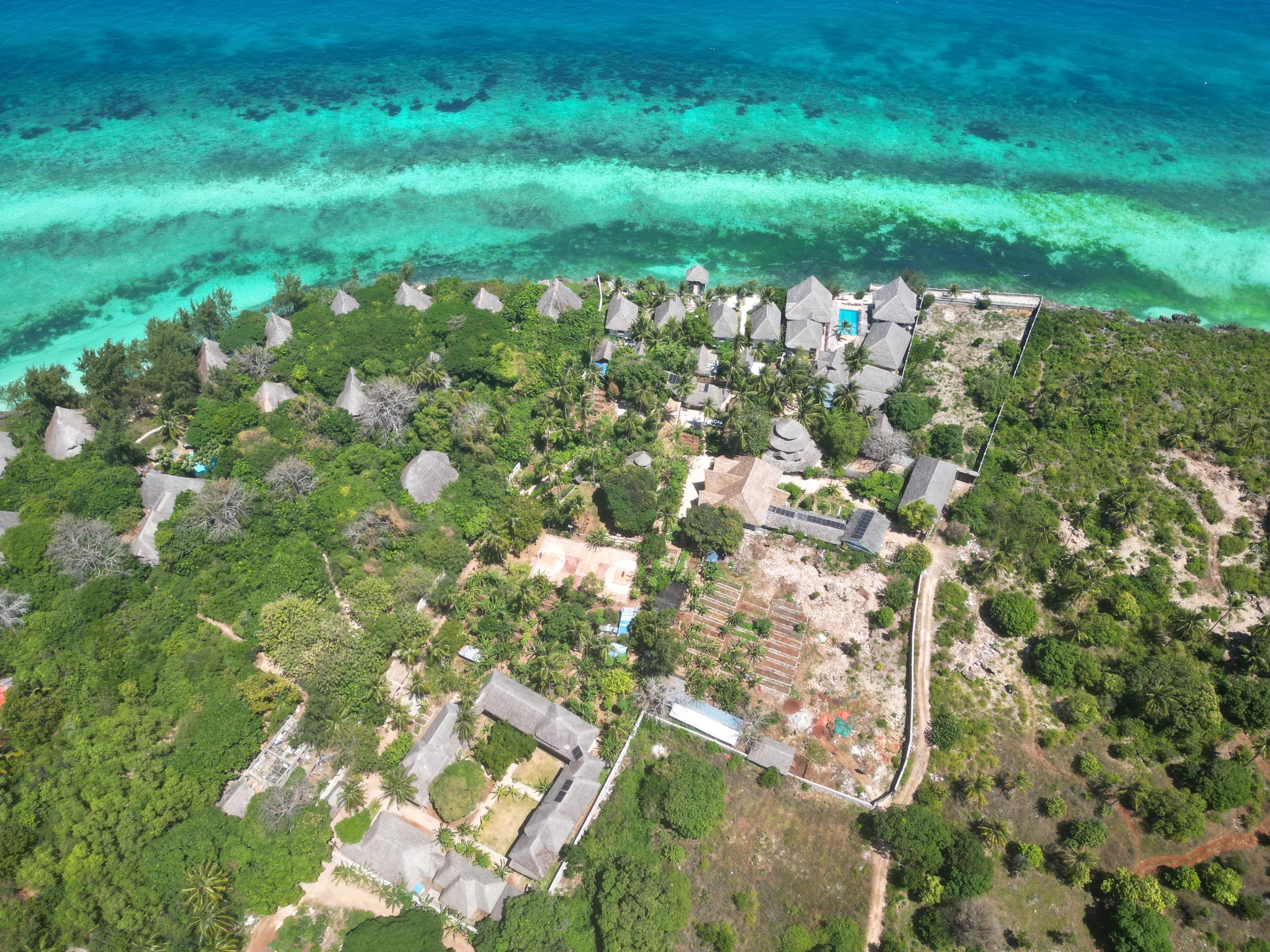 Aerial view of Makuti roofs along Zanzibar's coast