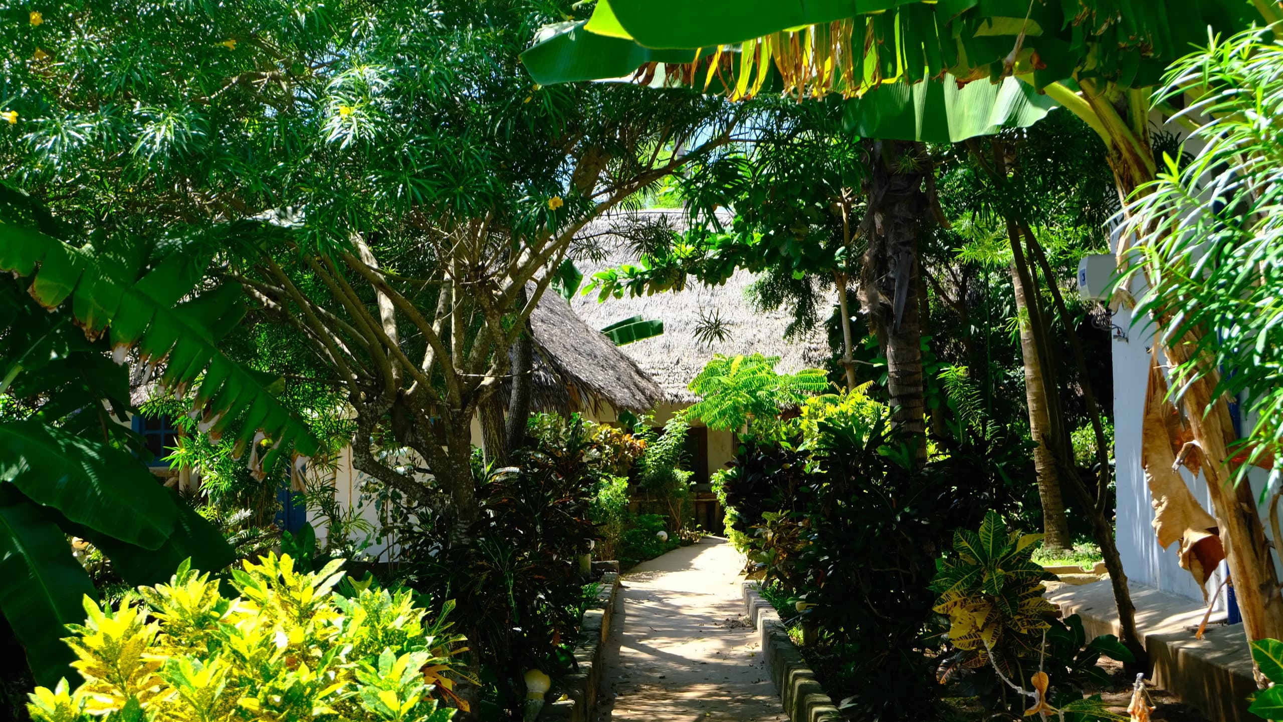 A planted path between Makuti buildings at Assalam