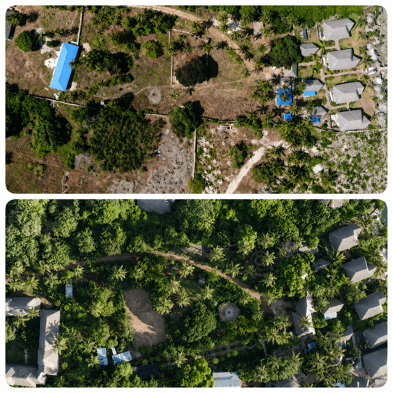 Before and after aerial views of the Assalam site