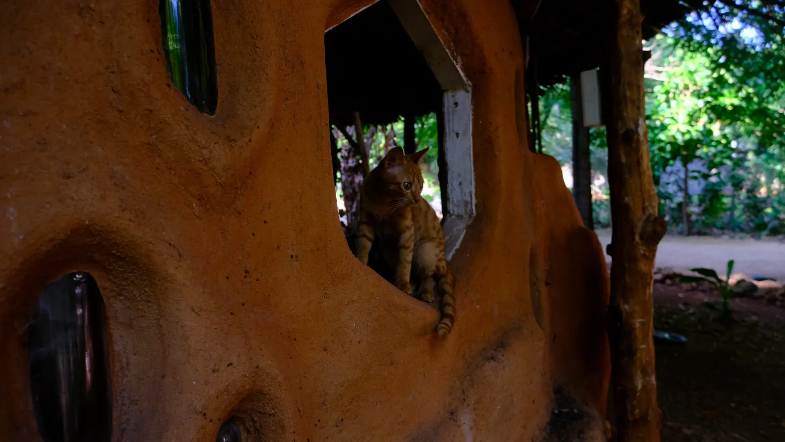 Cat resting in a window within the earth-built wall