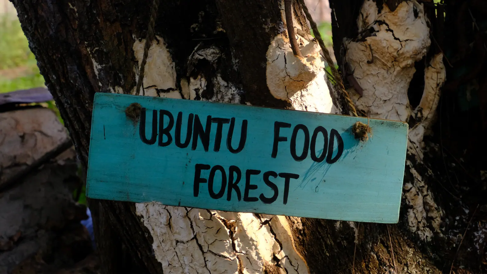 Hand-painted sign marking the Ubuntu Food Forest at Assalam