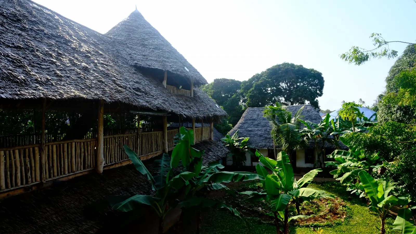 Makuti-roofed buildings set within the Living PEACE Village gardens