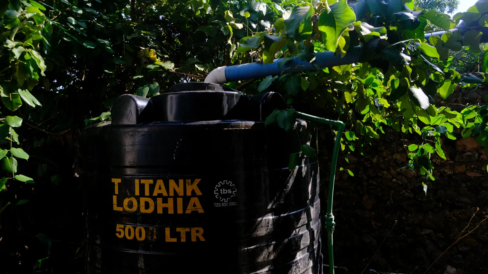 Black 500-litre rainwater tank connected beneath dense garden foliage
