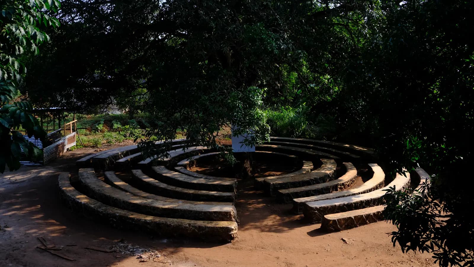 Circular outdoor learning space shaded by mature trees