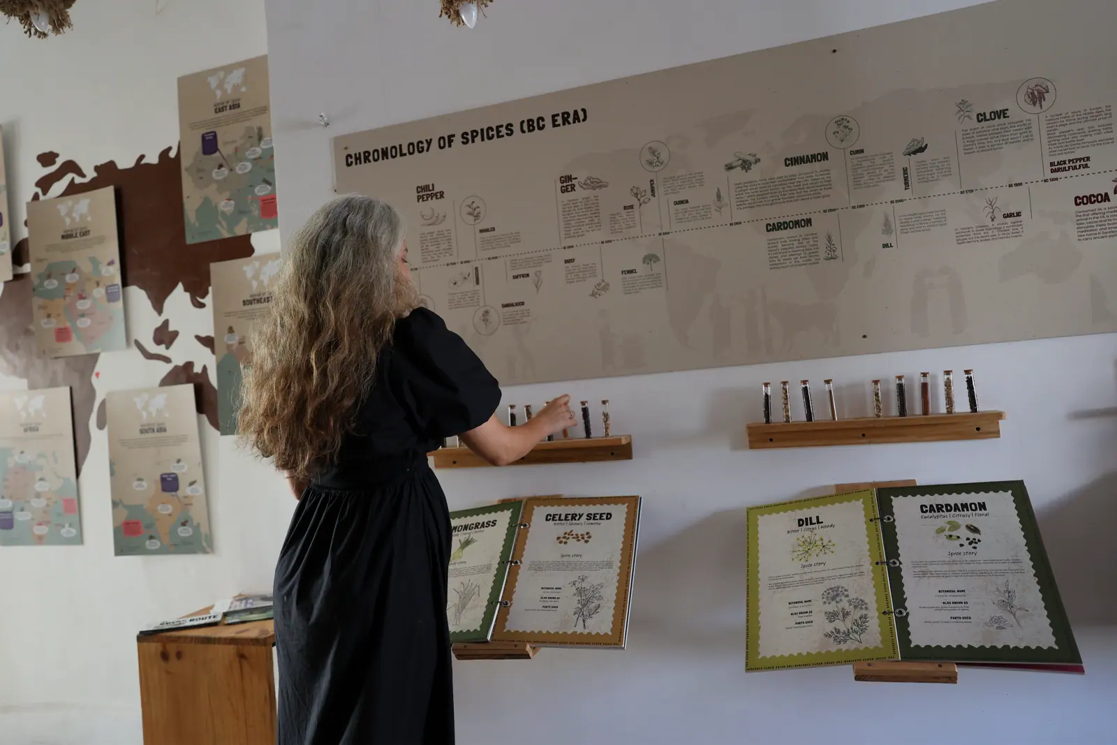 Visitor reading a wall chronology of spices